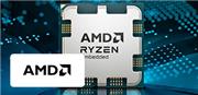 AMD